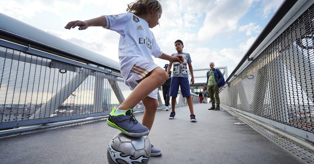 Innovations in Sports Nutrition Products