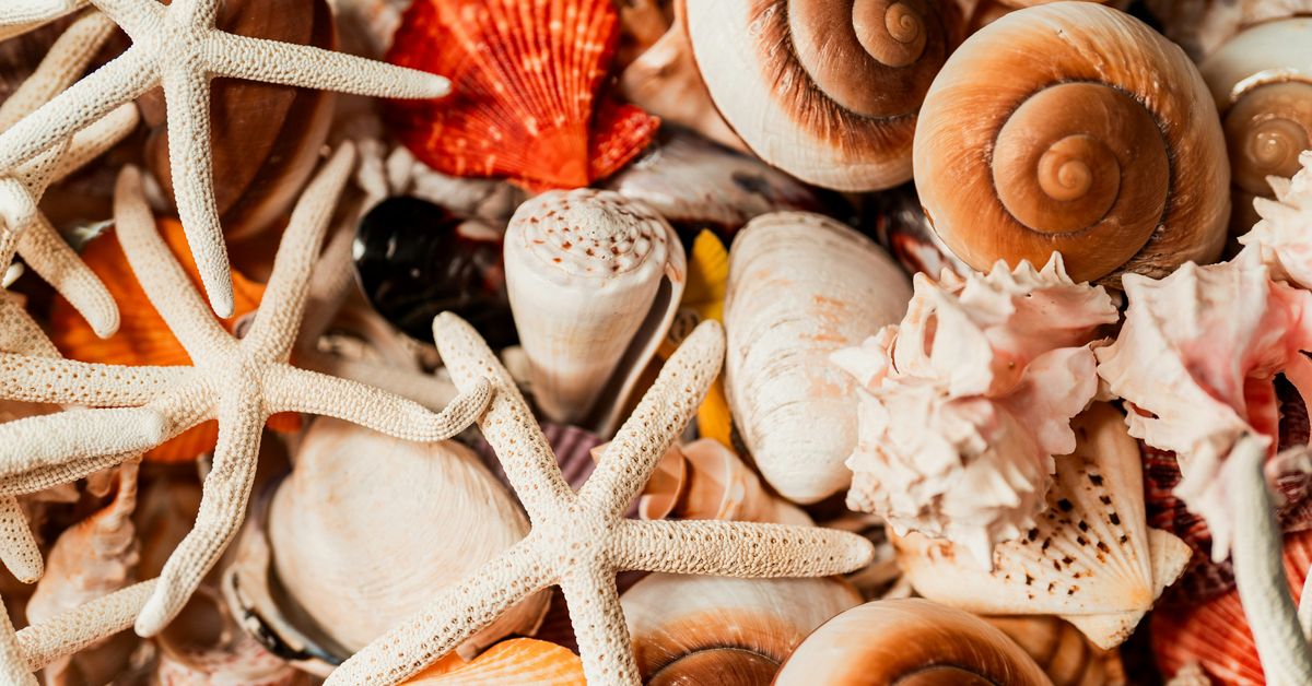 Cooking with Seafood Fresh and Flavorful Recipes