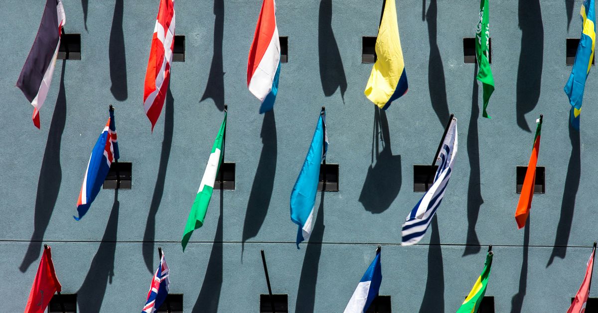 Olympic Dreams Athletes Journeys from Around the World