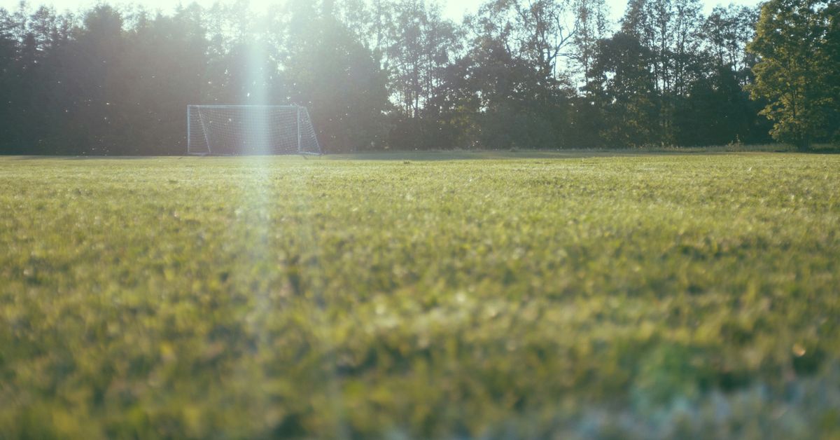 Economic Benefits of Sports Investments