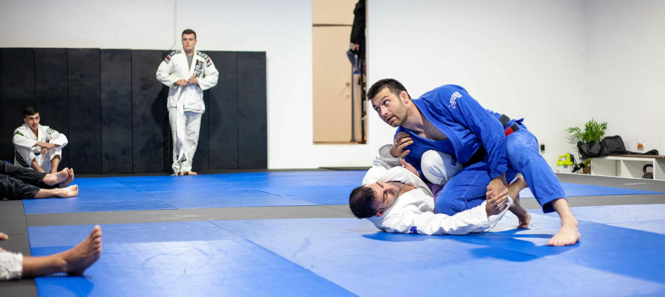 Innovative Training Techniques for Peak Performance